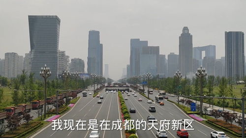 我的世界城市道路(我的世界城市道路规划)