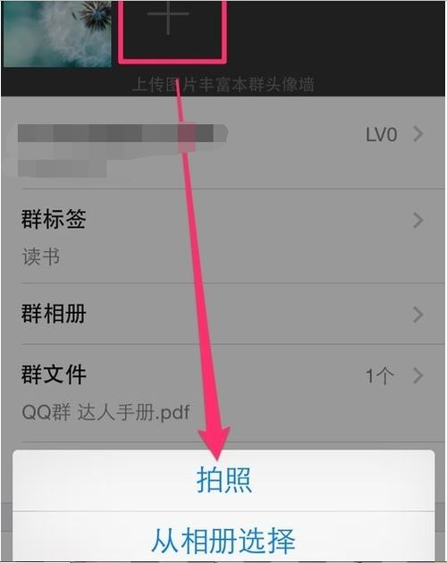 iPad上怎么弄群头像 