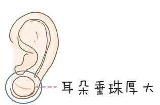 命理世家 一生大富大贵,事业有成的面相 