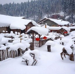 踏雪寻梦