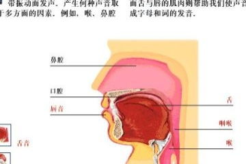 “圆圈”的意思如何、圆圈的读音怎么读、圆圈的拼音是什么、怎么解释？