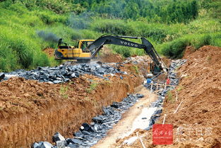 通山县黄沙铺镇柏树村果树种植基地建设旅游观光通道