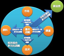 金融危机背景下为什么采取市场多元化战略