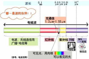 概念板块是什么？请用通俗易懂的语言解释，不要术语，谢谢