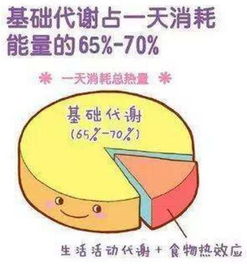 基础代谢率是怎样计算的 怎样提高基础代谢率