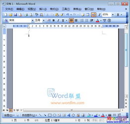Word2003怎么添加背景图片 设置背景颜色呢 