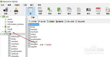 数据库多条件查询,二、多条件查询的基本概念