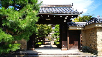 天龙寺 野宫神社 常寂光寺 岚山公园包车游 可规划行程