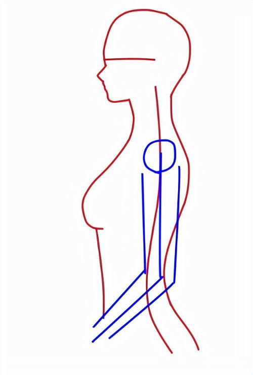 侧面七头身人物怎么画 侧面的头部和身体的基础描绘方法 轮廓 网易订阅