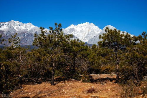 云南大山野外行走,本地人是如何防御失温受冻伤害