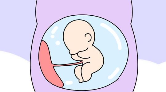 试管讲堂|免疫性不孕能借助试管婴儿怀孕吗？