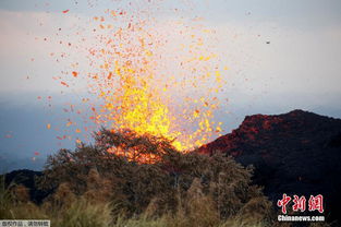 夏威夷火山持续喷发 熔岩流淌似 末日 