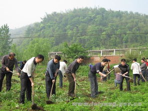 衡阳市 耒阳市安监局机关干部帮群众锄草翻土 