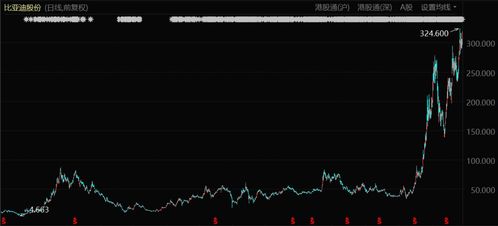 2008股票有什么走势