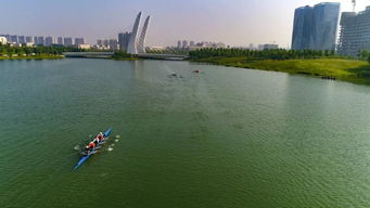 郑州龙子湖属于哪个区
