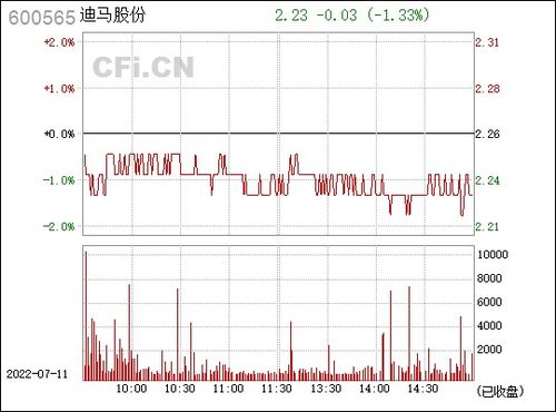 600565迪马股份股吧,公司概况与最新动态