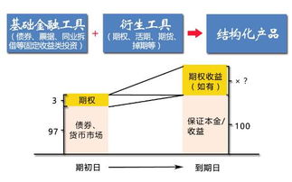 如何搜集上市公司是否应用衍生金融工具及其使用情况的数据？通过什么软件，查阅哪些项目？