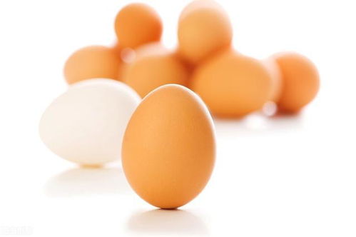 老年人血压血脂高,还能吃鸡蛋吗 注意2点,健康吃蛋没问题