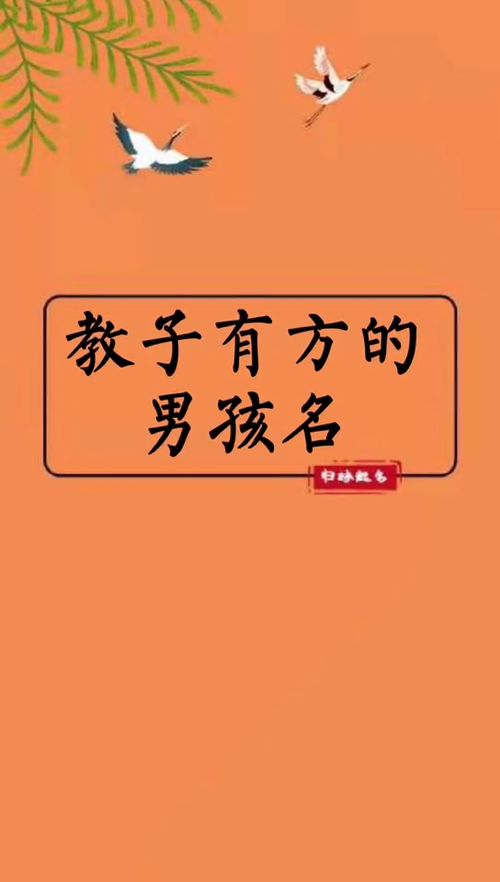 写在草稿上的名字都意义非凡 男孩名 宝宝起名 母婴育儿 