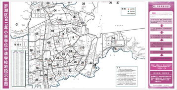 深圳市罗湖区邮编（深圳市罗湖区邮编518000） 第1张