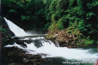 三明将乐龙栖山旅游景点攻略 游藏龙卧虎龙栖山