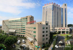 杭州市妇产科医院三代试管婴儿生EZ费用多少钱