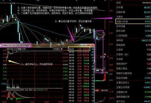 巨额亏损：操作75个账户控制股票，尾大不掉被罚500万元