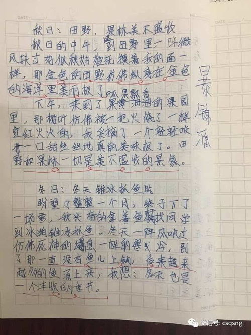 昌盛青少年宫暑期佐乐米优秀作文赏析 四