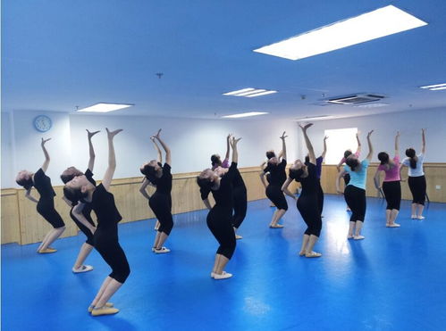 舞蹈高考培训机构,舞蹈高考培训学校