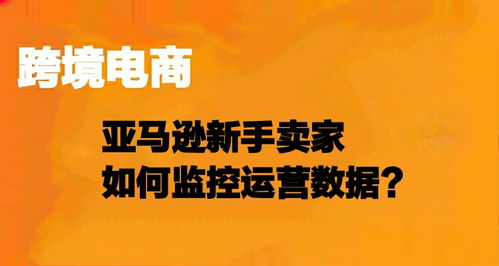 亚马逊新手卖家如何监控运营数据 老鸟分享