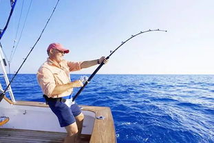 平衡钓鱼竿的那个叫什么意思,平衡钓鱼竿，让你的钓鱼之旅更加轻松愉悦,第3张