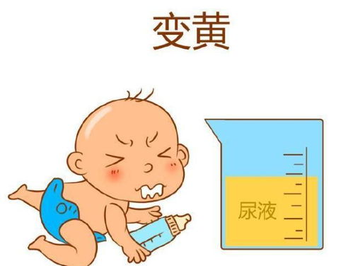 婴儿小便黄，六个月宝宝尿尿黄