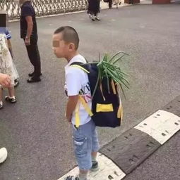 幼儿园开学场面堪比 年度大型灾难片 家长 不,我很开心...