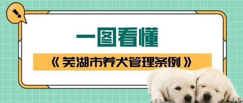 5月1日起 芜湖人违规养犬 最高罚款5000元
