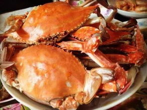 小龙虾被打入冷宫...青岛人的胃口一天能吃10万斤梭子蟹