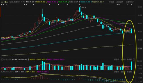 你好 帮忙分析一下 这是12年6月到12月 三一重工的 K线 RSI MACD