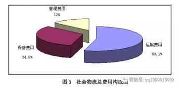 中国物流企业处于什么阶段，与国外巨头企业相比有哪些不足