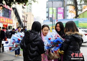 情人节成都街头美女兜售玫瑰花 