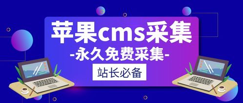 电商cms程序自动采集文章软件