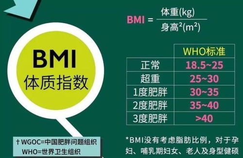 bmi多少可以跑步(bmi多少跑步最快)