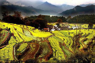 上饶十大最美旅游景点,上饶必去的十大景点有哪些