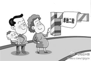 北京市单独二胎政策有什么规定是什么