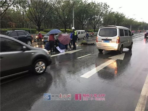 事发柳州 两名八旬老人在斑马线上被轿车撞飞,司机跑了之后.... 