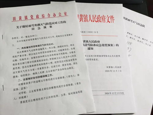 镇政府下发的文件范文图片—乡镇行政规范性文件是什么？