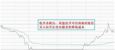 听说510900基金是T＋0交易？交易费用是多少？