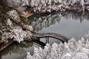 1月31,终于等到你, 一次就好,我陪你去看南国北景,我们一起相约九仙山,摄影九层妖塔,欣赏云海云瀑,艳遇冰雪雾凇 搜狐旅游 搜狐网 