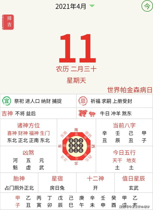 查生肖今日什么运势