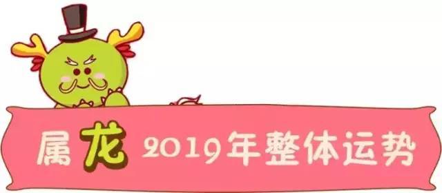 2019年12生肖运程