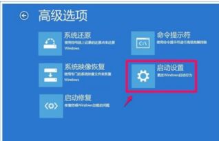 win10开机显示无法解析