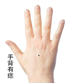手掌水星丘长出新横纹,手纹有五条线是什么意思